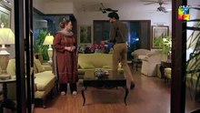 Goonj Episode 25 [CC] 9th_Jan_2026_[_Komal_Meer,_Mirza_Gohar_Rasheed___Feroz_Kadri_]_-_HUM_TV(360p)