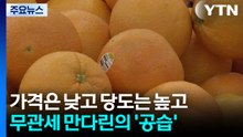 가격은 낮고 당도는 높고...무관세 만다린의 ’공습’ / YTN