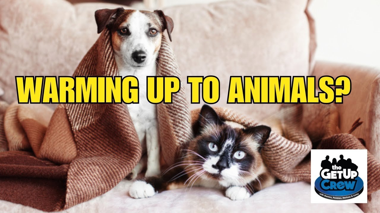 Pebbles Likes Animals Now?