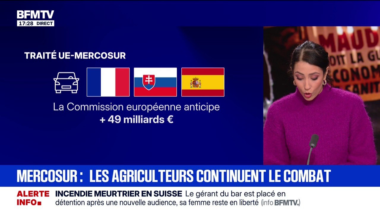 Secteur automobile, industrie chimique: qui sont les grands gagnants du traité UE-Mercosur ?