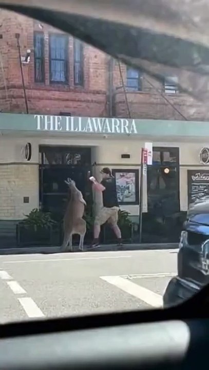 Average Tuesday in Australia