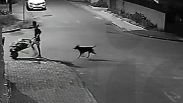 Câmeras flagram mulher agredida sendo levada em carrinho de mão por suspeitos na RMC; assista