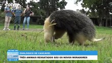 Novos moradores do Zoológico de Cascavel estão sob cuidados e reabilitação
