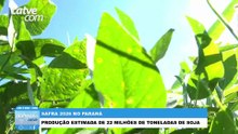 Boletim da Safra de 2026 apresenta boa expectativa para plantios no Paraná