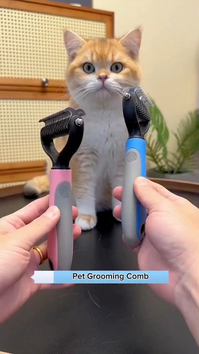 Pet shedding driving you crazy? 😱 Stainless Steel Hair Comb = no more fur! 🐾 Order today!