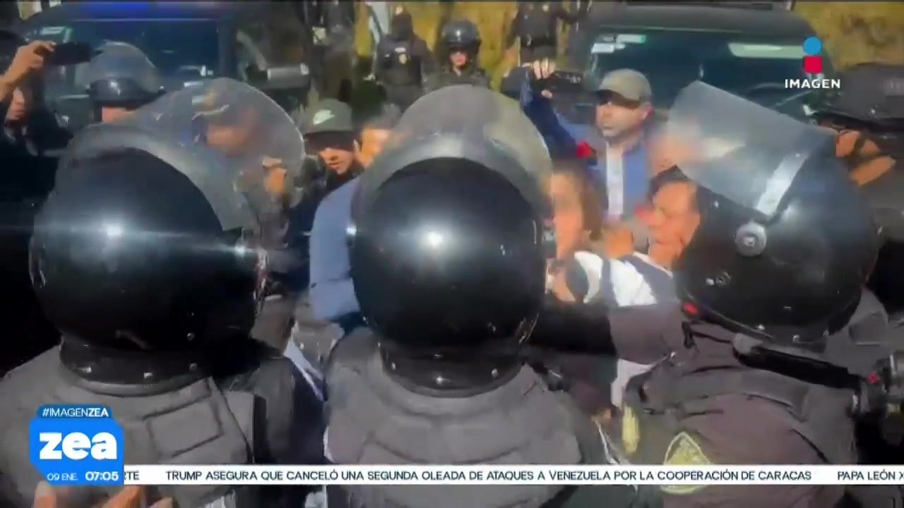 Presentan queja ante CNDH por desalojo de más de 900 perritos del Refugio Franciscano