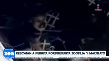 Rescatan a perrita por denuncias que evidenciaban actos de zoofilia