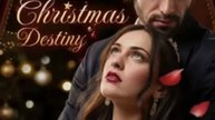A Christmas Destiny Of Mistaken Surrogacy - Full Movie