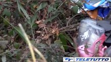 Video News - A Marone rifiuti nel bosco
