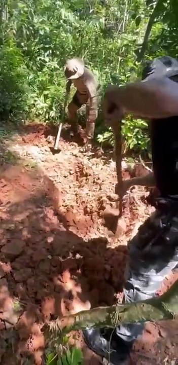 Corpos são encontrados em mata e revelam cemitério clandestino na Grande Florianópolis