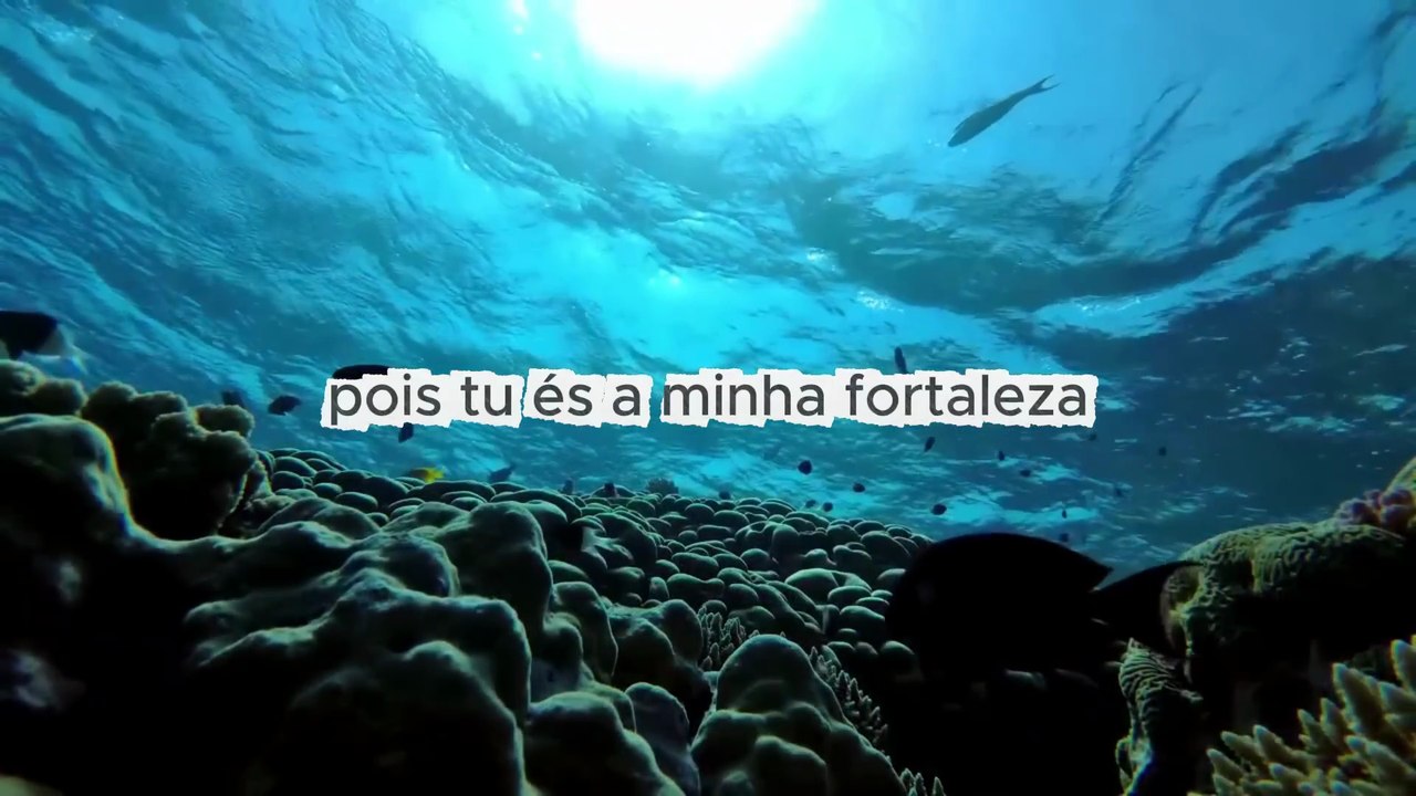 Já Imaginou DAVI cantando ( SALMOS  29 a 35 ) ,  estilo REGGAE .