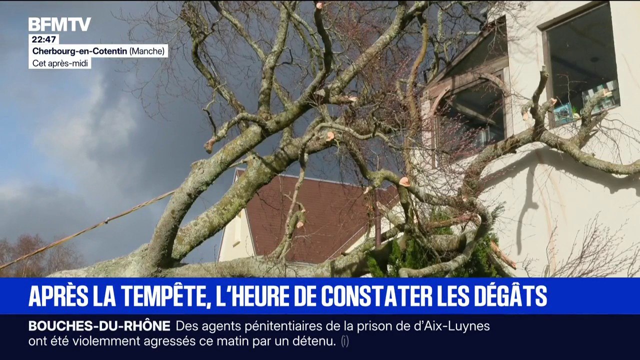 Après la tempête Goretti, les habitants constatent les dégâts