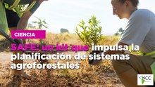 SAFE: un kit que impulsa la planificación de sistemas agroforestales