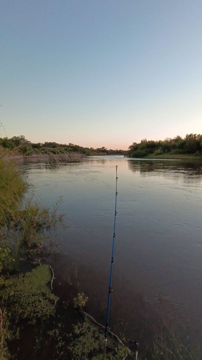 Pescando a la abuela de las tarariras en el Río Gualeguay 🎣😱