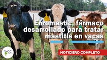 Enromastic, fármaco desarrollado para tratar mastitis en vacas | 828 | 12 al 18 de enero 2026