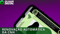 Bons motoristas terão CNHs renovadas automaticamente