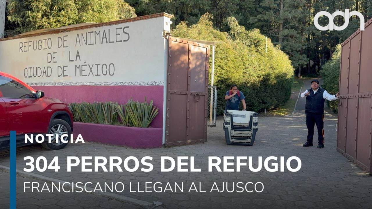 Refugio del Ajusco carece de condiciones para recibir animales del operativo franciscano
