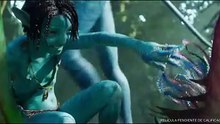 Tráiler de Avatar: El Sentido del Agua
