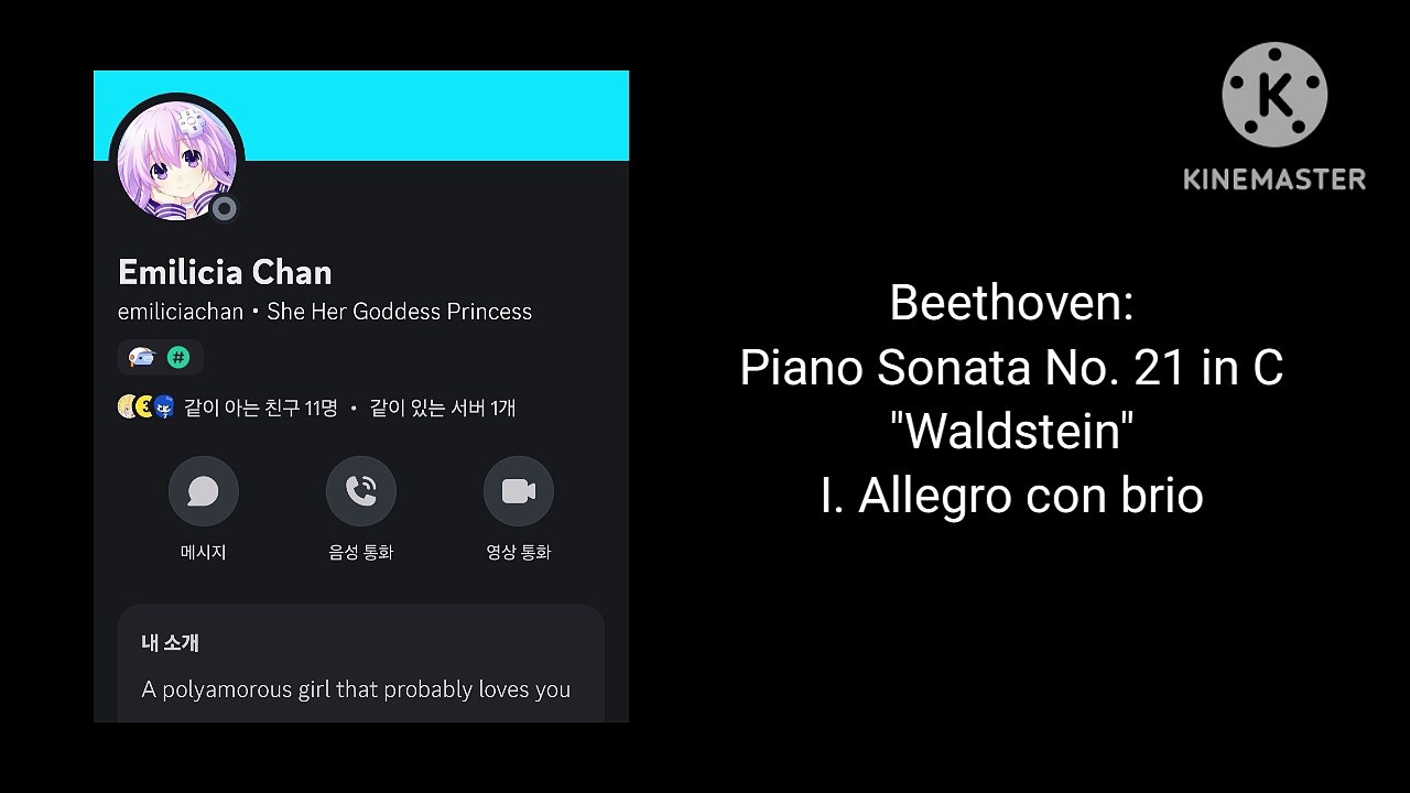 Beethoven: Piano Sonata No. 21 "Waldstein", 1st mvt (Cover)
