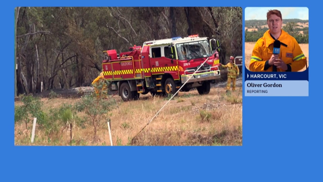 Premier says over 30,000 hectares of land have been burnt in Victoria