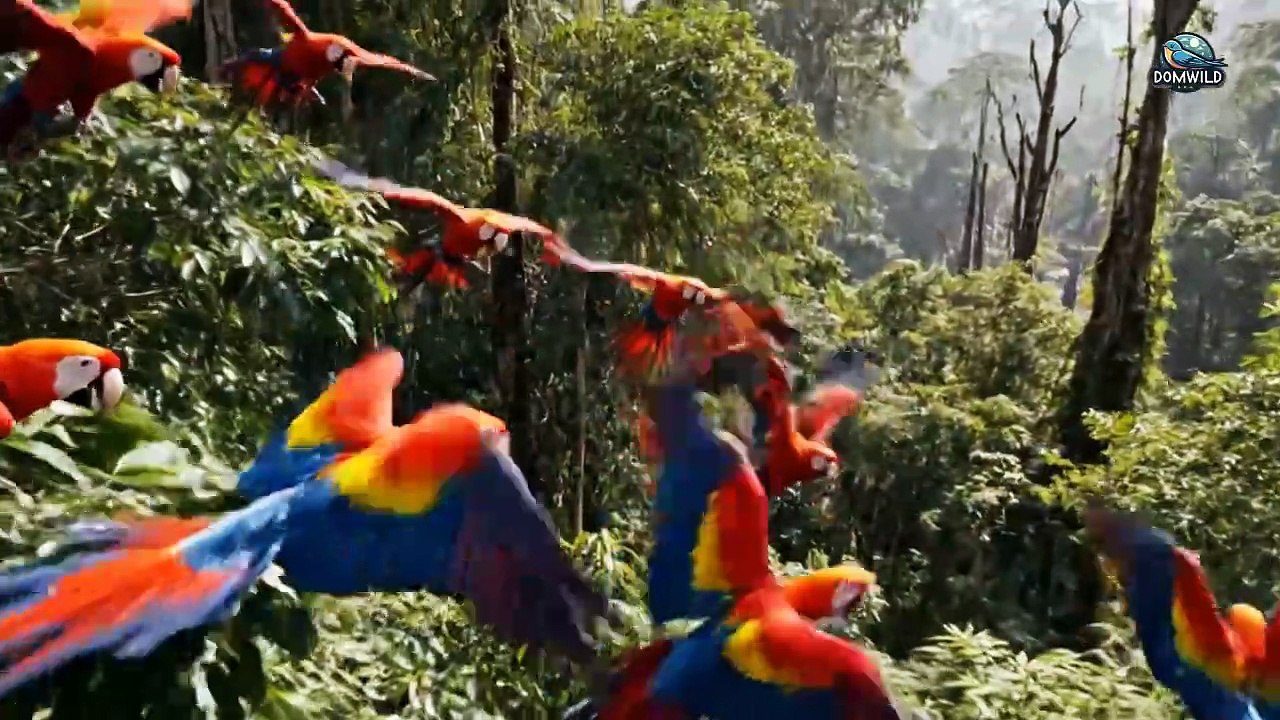 Part 19 - The Girls Survival Alone in the Wilderness - Forest Loggers vs. the Giant Python - YouTube