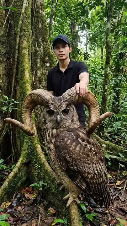 Amazing animal