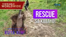 Kabayo na nahulog sa butas, pinagtulungan i-rescue! | Dami Mong Alam, Kuya Kim!