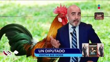 Pedro haces quiere ponerle nombre a su pájaro | Qué Importa