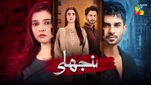 Manjhli ep 38 Pakistani drama
