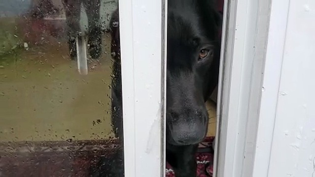 Dad it's rainy and windy out there