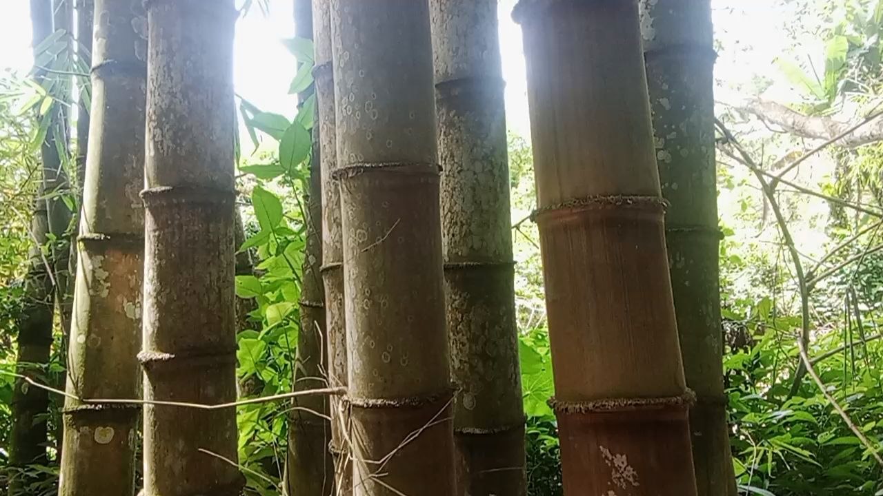coban lowok