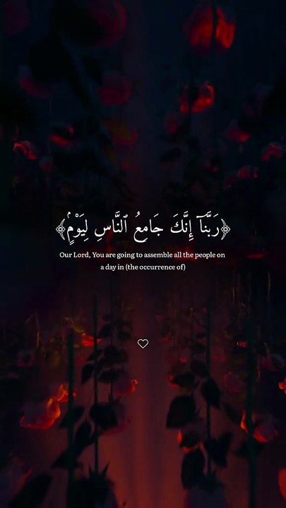 Qu’ran Majeed Rcitation 🤎 || Surah Al' imran || Qari Abdur Rahman Masood || Must See || English