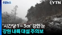 ’시간당 1∼3㎝’ 강한 눈...강원 내륙 대설 주의보 / YTN