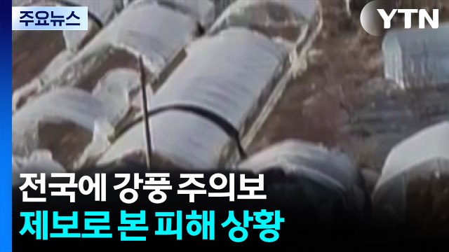 전국에 강풍 경보·주의보...제보로 본 피해 상황 / YTN