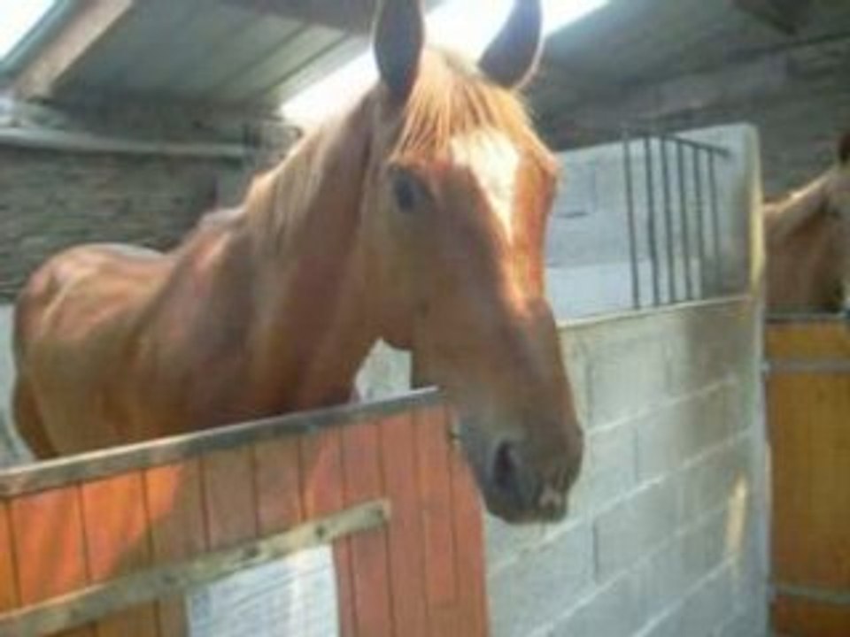 Lolo au jeu ''tourne la tête'' =)