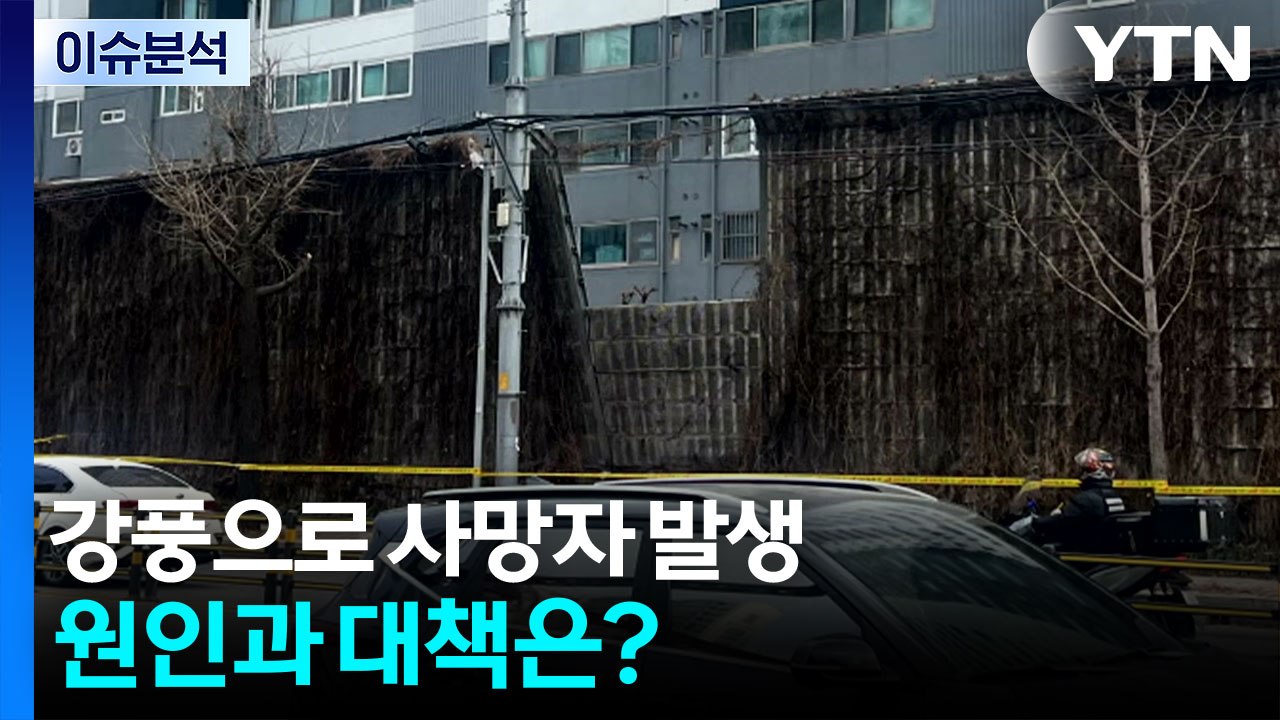 강풍으로 사망자 발생...원인과 대책은? / YTN