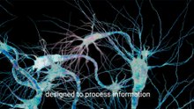 Understanding Carziqo's Neural Network Model_ Structure, Functions & Applications