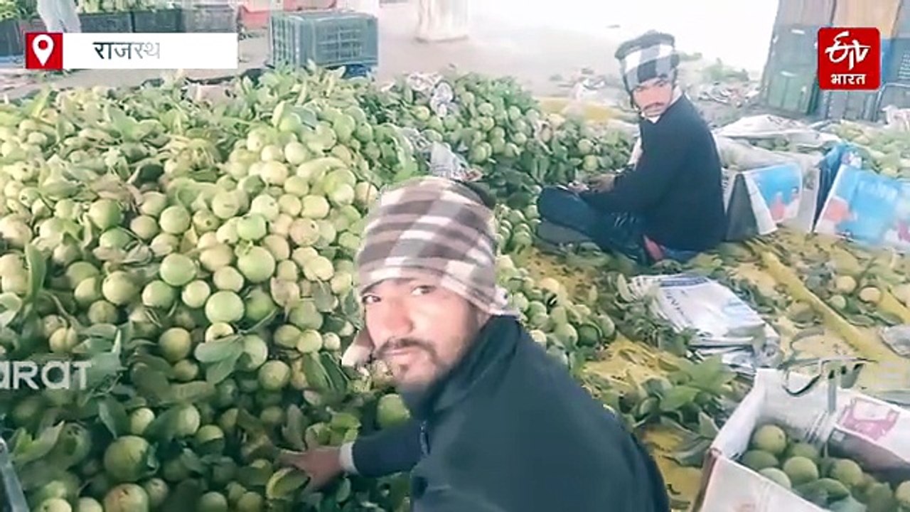सवाई माधोपुर में पहला राष्ट्रीय अमरूद महोत्सव,...
