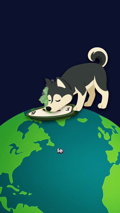 Le chien SENT le temps ! (avec son nez) #chien #odorat #temps #nature #animaux