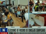 Aragua | Pueblo organizado acude a elección de vocerías de Consejos Campesinos
