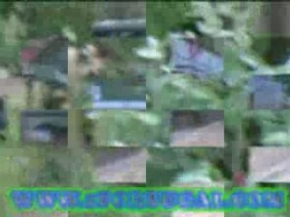 Rally das Lavegadas - Monte Redondo - Maio 2008 - 2