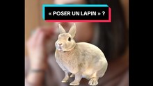 "Poser un lapin"