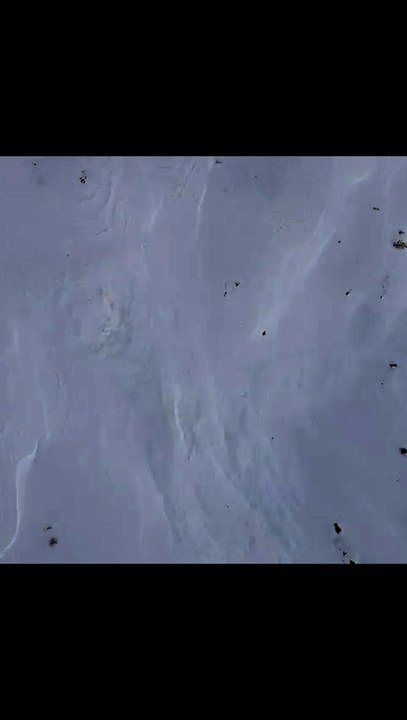 Valanga Pointe de la Pierre Pila: soccorsi via terra per una persona coinvolta