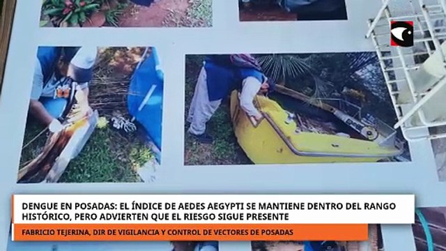 Dengue en Posadas: el índice de Aedes aegypti se mantiene dentro del rango histórico