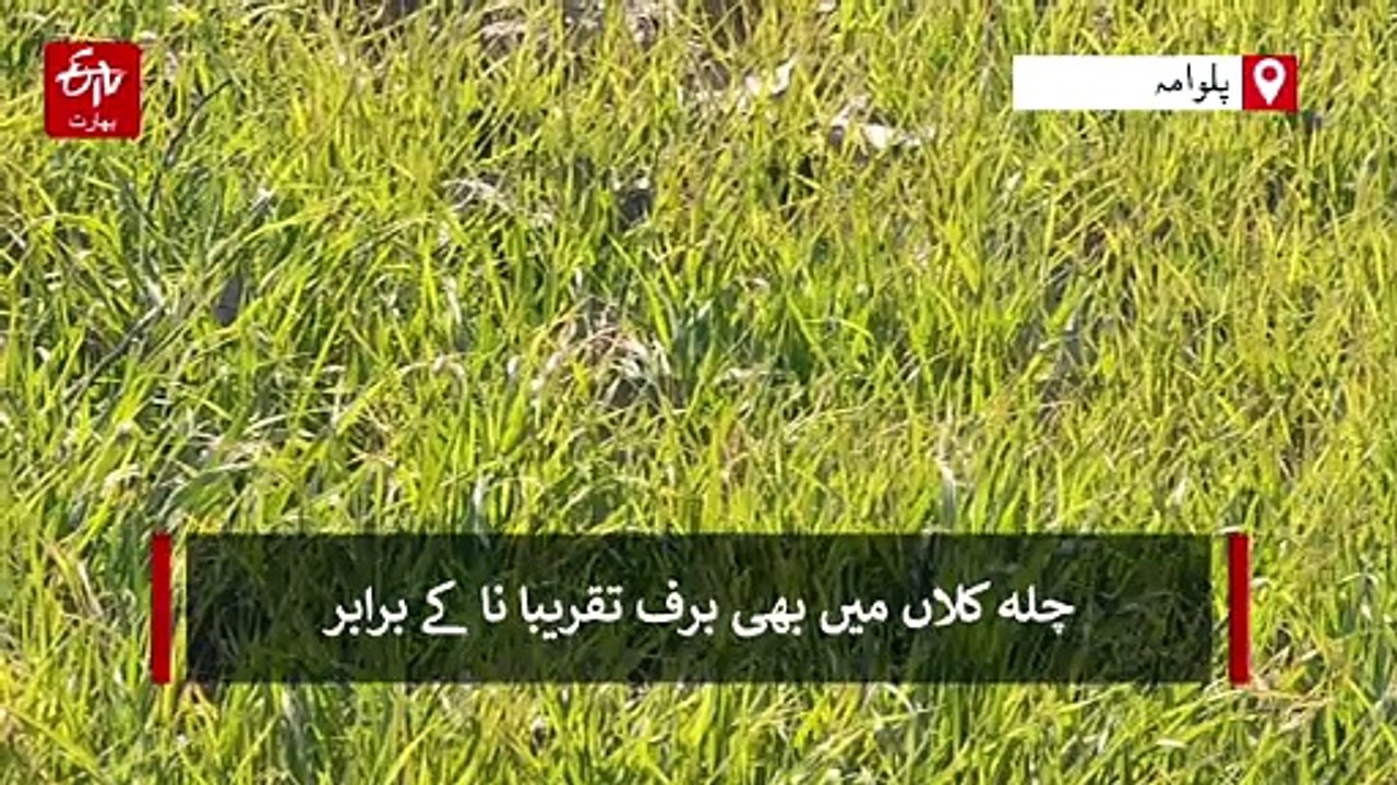کشمیر میں مسلسل خشک موسم سے کسان پریشان، ماہرین کا نمی کے تحفظ کا مشورہ