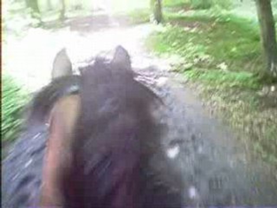 Mister, moi 28/MAI/08