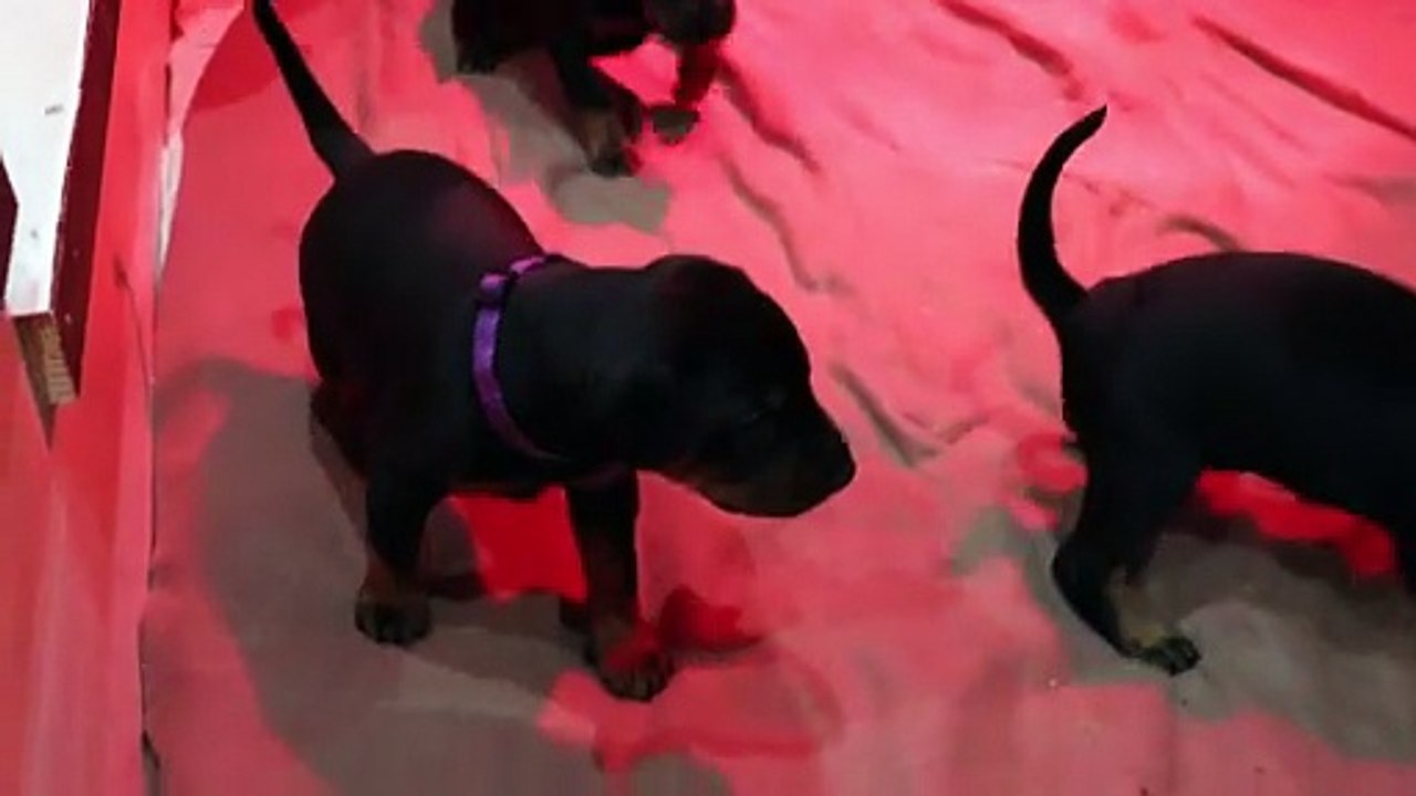 Portée A 2025 09 Janvier 2026