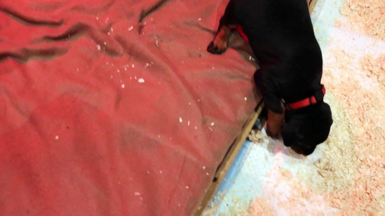 Portée A 2025 09 Janvier 2026