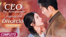Ceo Se Arrepiente DespuéS Del Divorcio