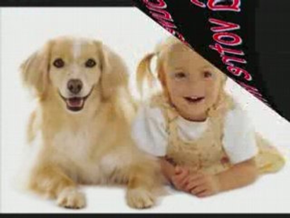 Chiens/Maitres